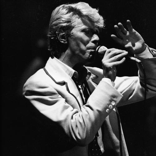 David Bowie's Carnegie Hall Tribute Showm, Now Memorial