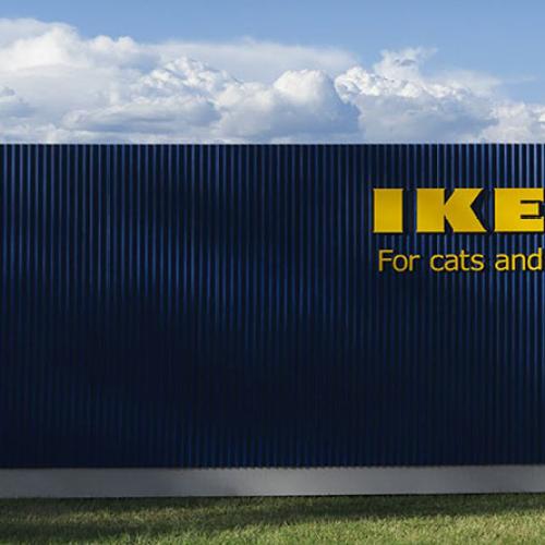 Move Over Kmart, Ikea Are Now Selling Pet Furniture!