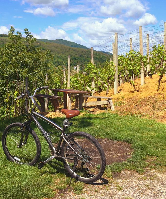A New Wine Bike Trail Could Link Barossa Clare Valley Adelaide Hills Mclaren Vale