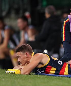 Crows Lose Acting Captain Tom Doedee For The Rest Of The Season