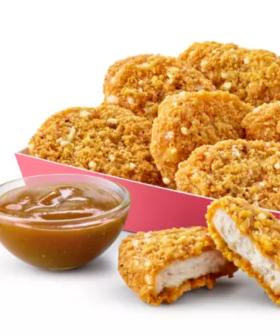 McDonald's Has Chicken Katsu Nuggets & I Was Not Even Aware!