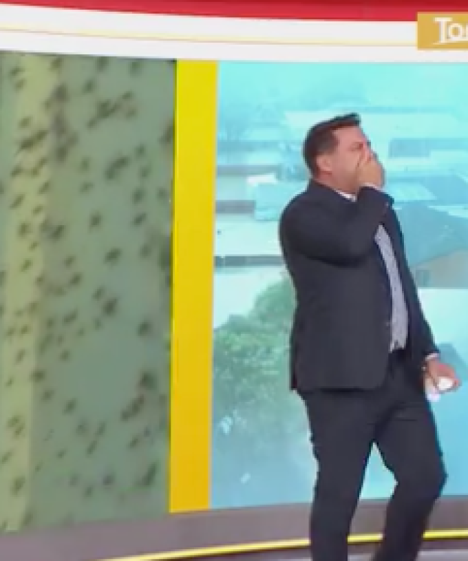 Karl Stefanovic S Horrified Reaction Is Priceless When A Man Lets Spiders Crawl On Him