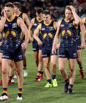 Adelaide Crows Fined $50,000 For Breaching Covid Regulations