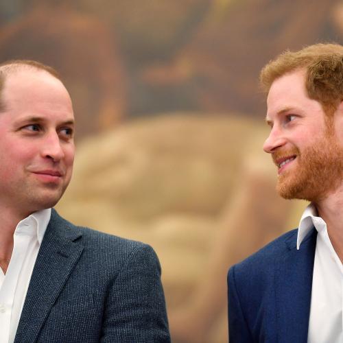 Prince William And Harry Put Aside Differences To Unveil Princess Diana Statue Today