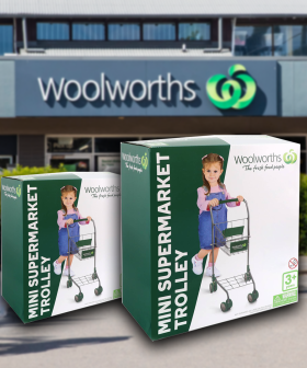 Woolies Has Released A $30 Mini Supermarket Trolley, And Shoppers Love It!