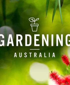 'Gardening Australia' Host Peter Cundall Dies At 94