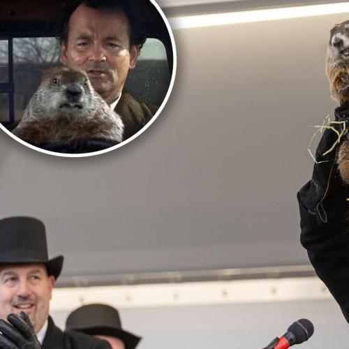 As If 2022 Couldn't Get Any Worse, Weather Predicting Groundhog Dies Days Before Groundhog Day!