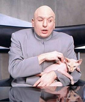 'Gene-Editing' Used To Create No-Sneeze Hypoallergenic Cats