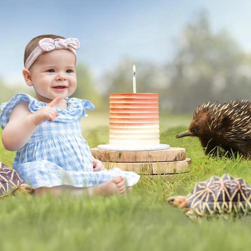 Grace Warrior's First Birthday Is Coming Up And You're Invited To Celebrate At Australia Zoo!