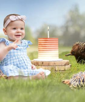 Grace Warrior's First Birthday Is Coming Up And You're Invited To Celebrate At Australia Zoo!