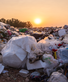 This Plastic Eating Protein Could Help Save The World! (Or At Least Tidy It Up A Bit...)