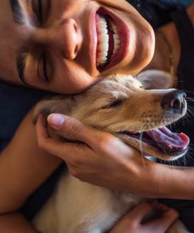 Studies Show People With Dogs Coped Better During Lockdown