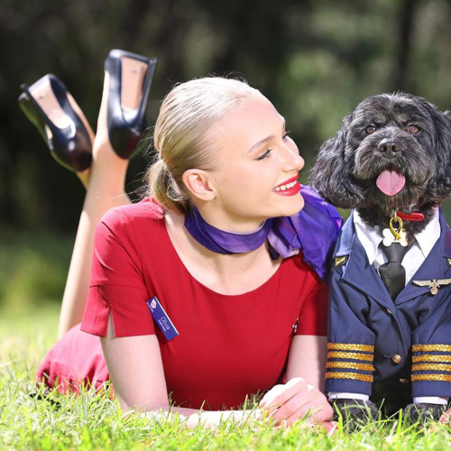 Virgin Australia Announces Plans To Welcome Pets Onboard Flights!